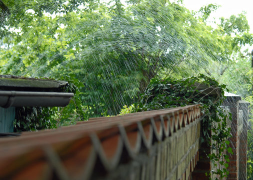 Alte Backsteinmauer um einen Garten, über die Wasser aus einem Gartenschlauch spritzt