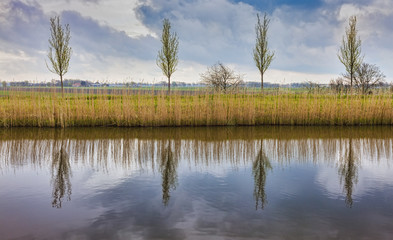 Rural Dutch Landscape