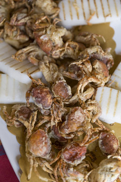 italian gastronomic Specialities, moleca little crab fried, Specialities of chioggia, venice italy
