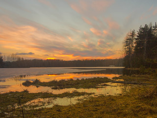 Forest wetland lake at sunset