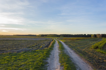 Zachód słońca przy polnej drodze na tle lasu, Lipsko, Polska