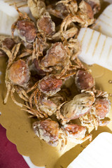 italian gastronomic Specialities, moleca little crab fried, Specialities of chioggia, venice italy