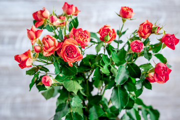 rose composition in vase with fresh flowers on wall background