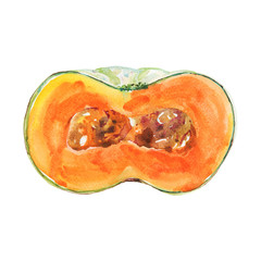 Watercolor isolated ripe pumpkin and seeds. Hand drawn fresh vegetable on white background