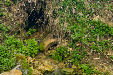 The wellspring of drinking water flows out of the ground