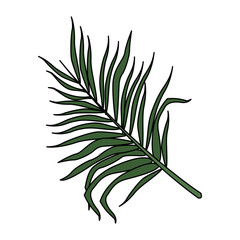 single tropical leaf icon image vector illustration design 