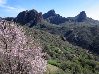 Bergwelt im Landschaftspark Parque Rural del Nublo