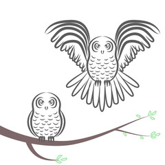 flying and sitting owl silhouette