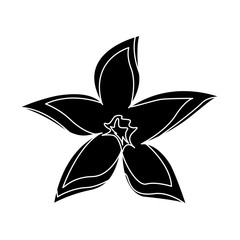 delicate flower icon image vector illustration design 