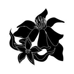 delicate flower icon image vector illustration design 