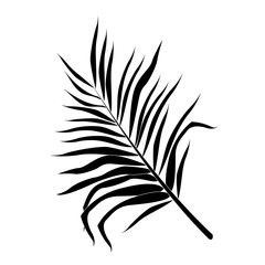 single tropical leaf icon image vector illustration design 