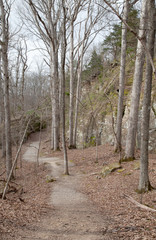 Beautiful trail through Giant City State Park in Illinois