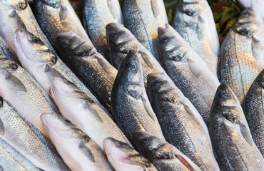 Background of sea fish close-up on the market in the port