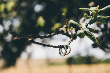 coppia di fedi nuziali appesa a un ramo di un albero cons fondo natura