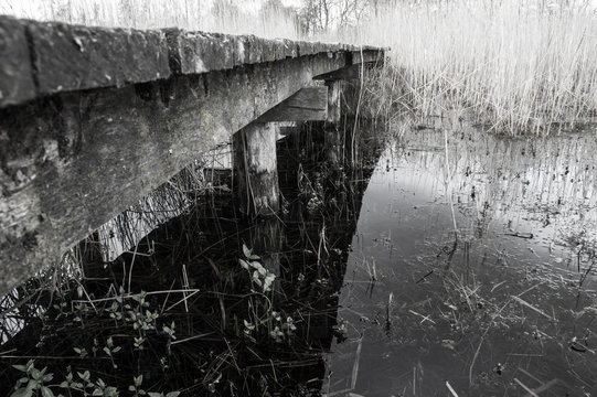 Black and white picture of a close up of an old wooden bridge over a little stream with larges culms of grass on the side with their reflection in the water