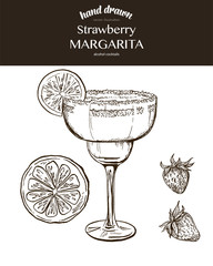 Strawberry Margarita. Vector sketch illustration 