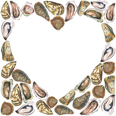White heart on watercolor oysters background