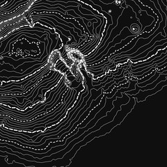 Vector abstract grayscale earth relief map. Generated conceptual elevation map. Isolines of landscape surface elevation. Geographic map conceptual design. Elegant background for presentations.