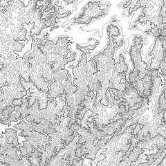 Vector abstract grayscale earth relief map. Generated conceptual elevation map. Isolines of landscape surface elevation. Geographic map conceptual design. Elegant background for presentations.