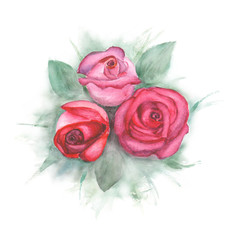 Watercolor painting with roses
