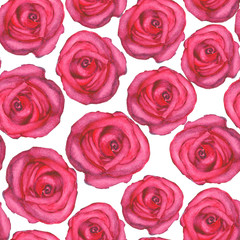 Watercolor seamless  pattern with roses on white background