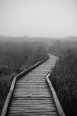 Wooden Path in the Fog