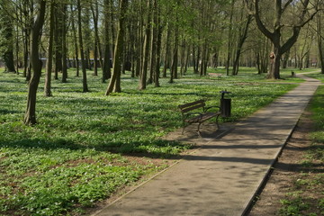 Wiosna w parku.