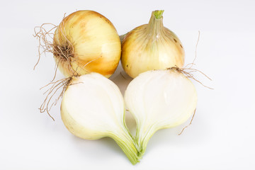 Bulbs of young onions