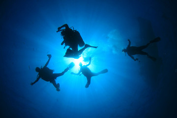 Scuba dive. Underwater group of scuba divers in sea