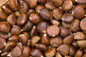 Chestnuts Prior to Being Roasted