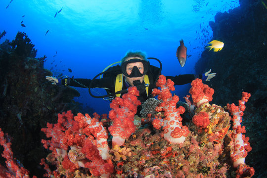 Blonde woman scuba diver explore coral reef in ocean