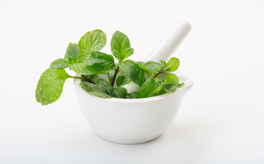 Fresh basil in a mortar on white background
