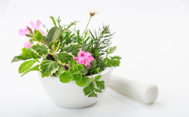 Herbs in a mortar on white background - Alternative medicine concept 