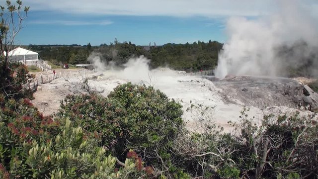 Geysers hot springs on background of forest and sky horizon in New Zealand. Beautiful amazing nature. Travel and tourism in the world of wildlife.