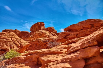Fototapeta premium Incredibly beautiful landscape in Southern Nevada, Valley of Fire State Park, USA.