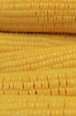 Boiled yellow corn grains texture