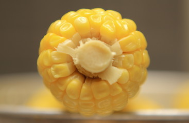 Boiled yellow corn grains