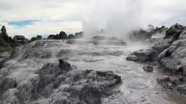 Geysers hot springs on background of forest and sky horizon in New Zealand. Beautiful amazing nature. Travel and tourism in the world of wildlife.