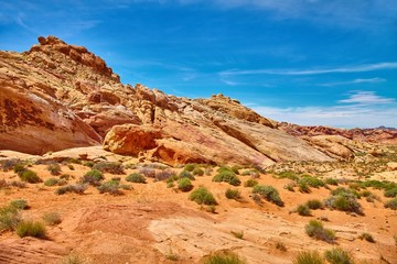 Fototapeta na wymiar Incredibly beautiful landscape in Southern Nevada, Valley of Fire State Park, USA.