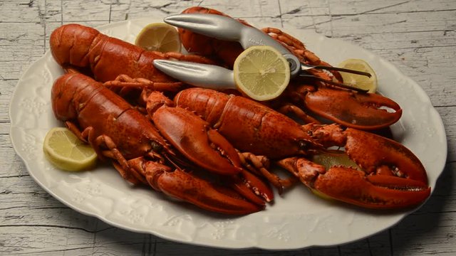 Homarus Омар шаяны Homardo Astice ロブスター Kevjalk Astici Bogavante Lobster 