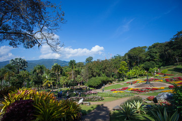 Mae Fah Luang Garden,Chiang Rai Province, Thailand.