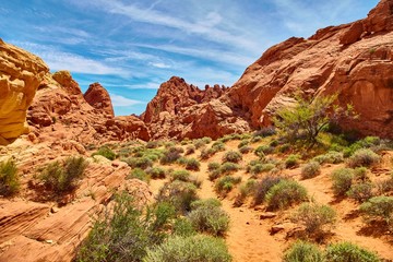 Fototapeta premium Incredibly beautiful landscape in Southern Nevada, Valley of Fire State Park, USA.