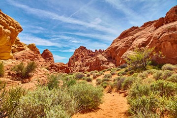 Fototapeta premium Incredibly beautiful landscape in Southern Nevada, Valley of Fire State Park, USA.