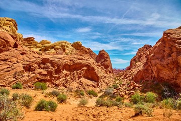 Fototapeta premium Incredibly beautiful landscape in Southern Nevada, Valley of Fire State Park, USA.