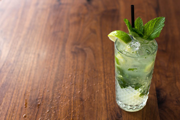 Fresh Mint Mojito