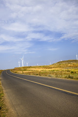 Fototapeta na wymiar Asphalt road and wind turbines