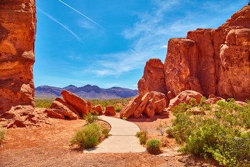 Obraz na płótnie Canvas Incredibly beautiful landscape in Southern Nevada, Valley of Fire State Park, USA.