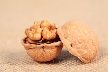 walnut