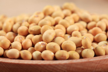 soybean