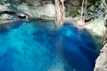The Cenote of Merida, Mexico